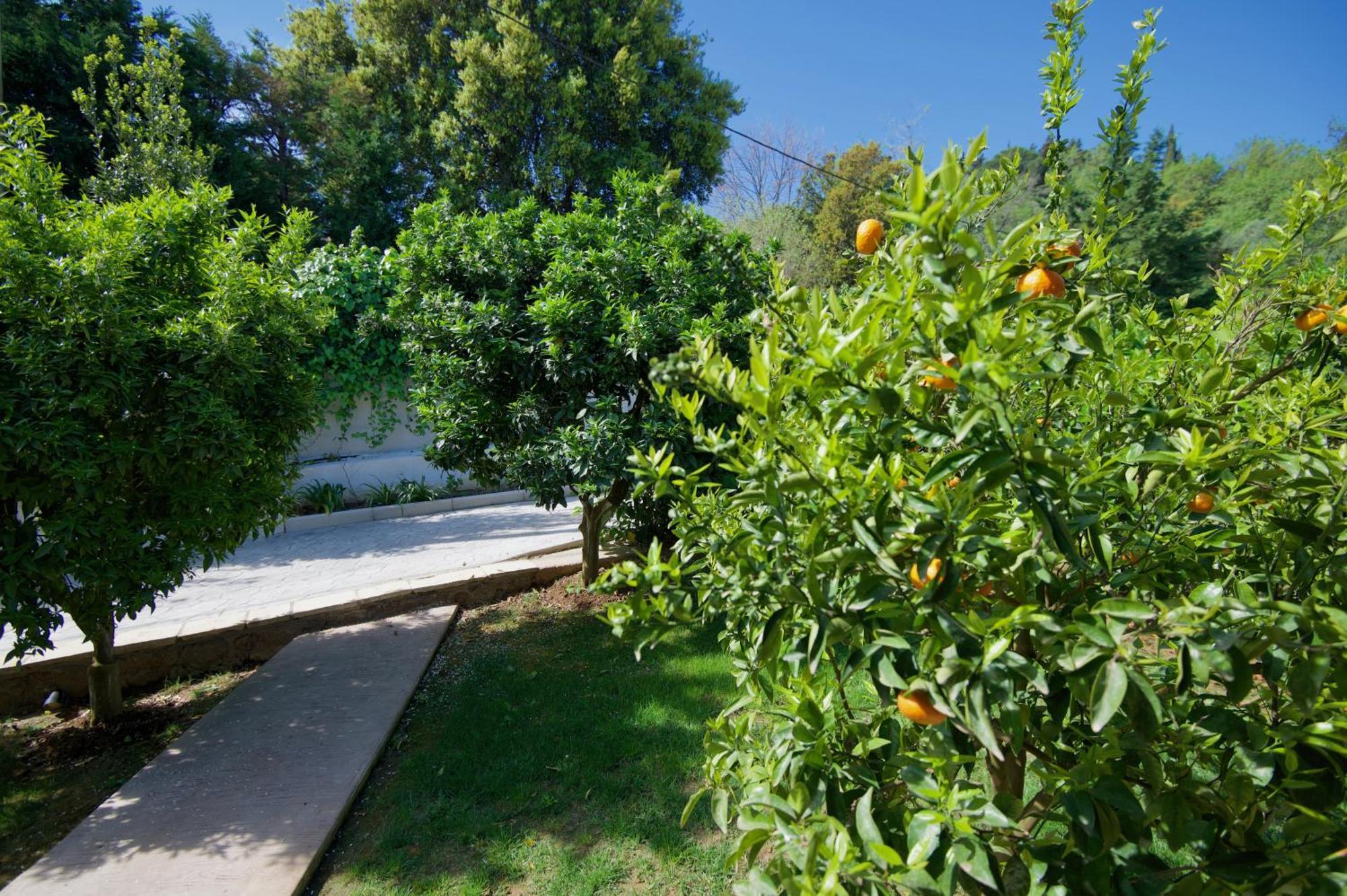 Villa Natilia Gazátika المظهر الخارجي الصورة